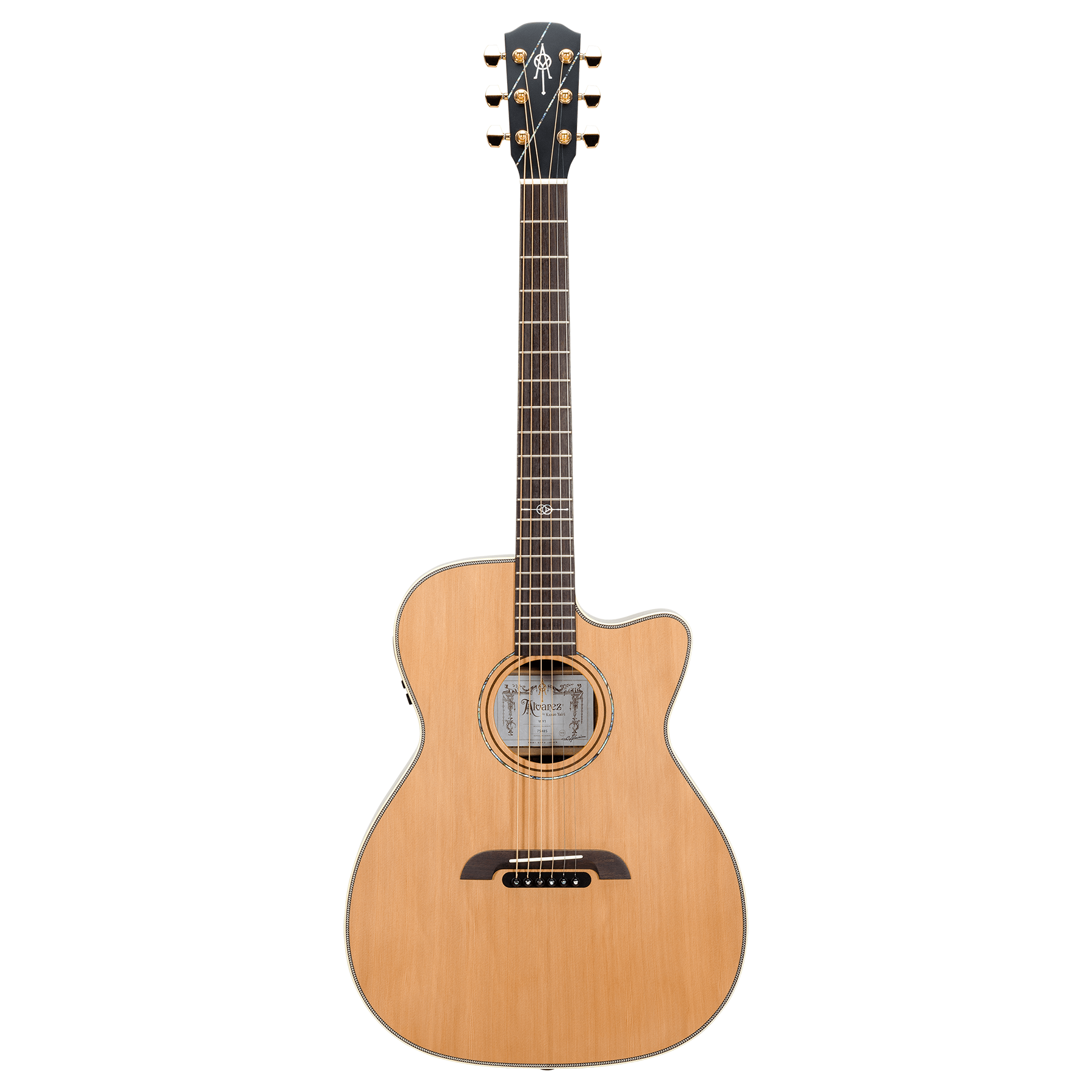 定番再入荷スターターキット！Alvarez アコースティックギター　ケース　チューナー ギター